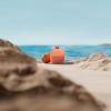 imageBose SoundLink Micro Portable Bluetooth Speaker 2nd Gen Wireless Outdoor Speaker Up to 12 Hours Battery Life Waterproof and Dustproof Sunset Peach  Limited Edition ColorSunset Peach